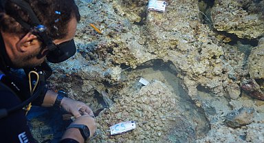 Su altı kazısında 3 bin 600 yıllık hançer bulundu