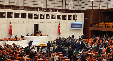 TBMM Genel Kurulu'nda kavga
