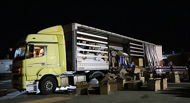 TIR'daki deterjan kutuları arasında 491 kilo skunk ele geçirildi