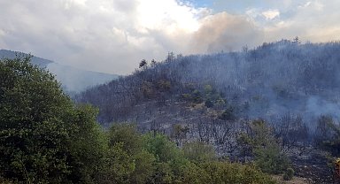 Tokat'ın Erbaa ilçesinde orman yangını