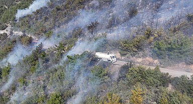 Tokat'ta orman yangını