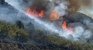 Tokat'ta orman yangınında, 8 hektarlık alan yandı