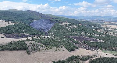Tokat'taki orman yangınında 45 hektarlık alan yandı; dronla görüntülendi