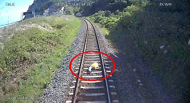 Trenin çarptığı demans hastası kadının öldüğü kaza kamerada
