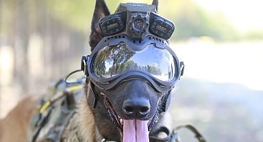 TSK'nın eğitimli köpekleri için tasarlanan sistem, 'Parka' ile test edildi