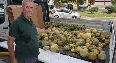 Tüccara kızdı, çöpe atmak yerine 'lösemili çocuklar' yararına dağıttı