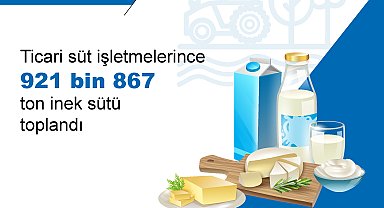 TÜİK: Haziranda yumurta, tavuk eti ve içme sütü üretimi arttı