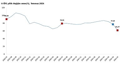 TÜİK: Hizmet üretici fiyatları temmuzda arttı
