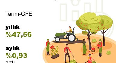 TÜİK: Tarımsal girdi fiyatları yıllık yüzde 47,56 arttı