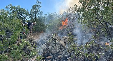 Tunceli'de çıkan orman yangını, 17 saatte söndürüldü
