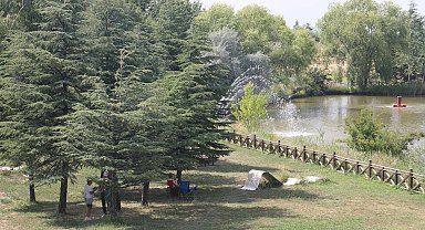 Türkiye'nin en büyük botanik bahçesinde 1200 çeşit bitki türü var