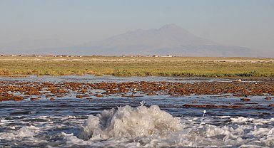 Tuz Gölü havzasında tarlada fışkırıp kaybolan su için açıklama