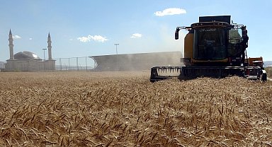 Üniversitede 1500 dönüm arazide yerli ve milli tohum üretilecek