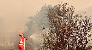 WCK ve IFRC Yunanistan'da yangından etkilenen bölgelere yardım çalışmalarını sürdürüyor