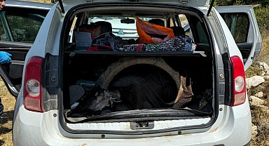 Yaban keçisi avlayan 2 kişiye 1 milyon 315 bin TL para cezası