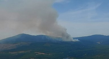 Yalova'da orman yangını