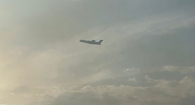 Yalova'da orman yangını