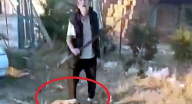 Yavru köpeği dirgen saplayarak öldürdü