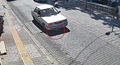 Yavru köpek ölümden döndü; o anlar kamerada