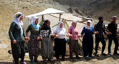 Yaylada 'berivan halayı'