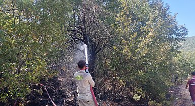 Yıldırım düşen ormanda çıkan yangın, erken müdahaleyle söndürüldü