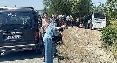 Yolcu otobüsü, mısır tarlasına girdi; 2'si ağır 14 yaralı
