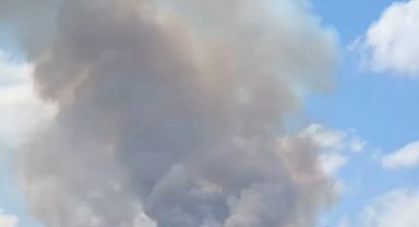 Zonguldak'ta orman yangını