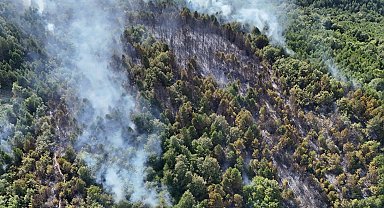 Zonguldak'ta orman yangını