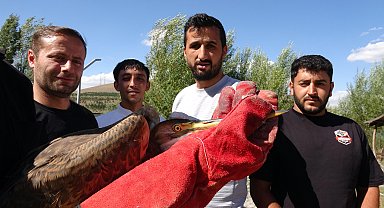 2 bin 300 rakımdaki gölet yakınında bulunan yaralı balıkçıl tedaviye alındı