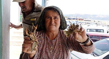 35 yıldır gün doğumunda kerevit avlıyor