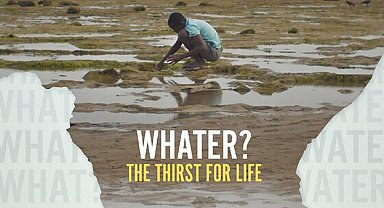 'Altın Portakal' için yarışacak filmler belli oldu