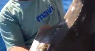 'İnsan yüzlü' balık oltaya takıldı