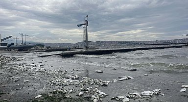 'İzmir Körfezi'ndeki kirlilik sonrası balık satışı yarı yarıya azaldı'