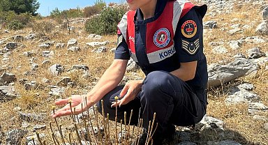 'Ölmez çiçeği'ni koparmanın cezası 387 bin 141 TL