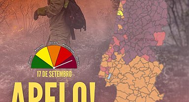 AB, Portekiz'de devam eden orman yangınları için bölgeye 8 yangın söndürme uçağı gönderecek