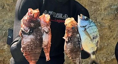 Alkollü sürücünün kullandığı otomobil çarpan eski milli basketbolcu İlkan Karaman öldü