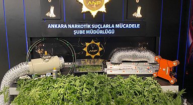 Ankara'da 20 bin uyuşturucu hap ve 57 kök kenevir ele geçirildi
