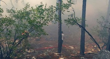 Antalya'daki orman yangını kontrol altında