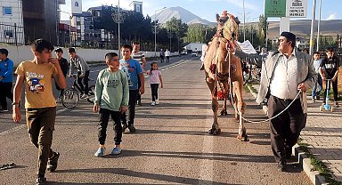 Antalya'dan Ağrı'ya kurbanlık gönderilen deveye ilgi
