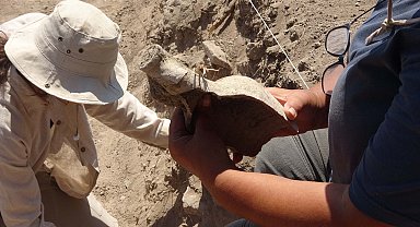 Apollon Smintheus'ta 1700 yıllık kalıntılar, şehrin geçmişine ışık tutuyor