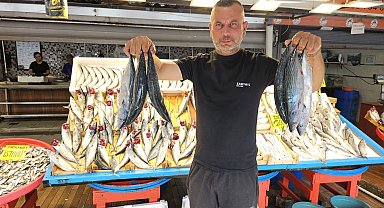 Av yasağı bitti tezgahlar palamutla doldu