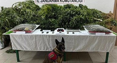 Avukatın çiftliğine uyuşturucu baskını: 2 tutuklama