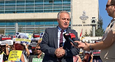 AYM, sahipsiz hayvanlarla ilgili düzenlemeyi esastan görüşecek