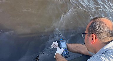 Bakan Kurum ve Bilim Kurulu, İzmir Körfezi'nde inceleme yapacak