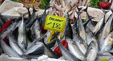 Çanakkale'de av sezonu açıldı; palamut tezgahta yerini aldı