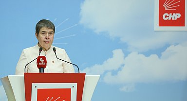 CHP'li Şahbaz: Batı Nil virüsü nedeniyle hastaneye yatan onlarca ciddi vaka var