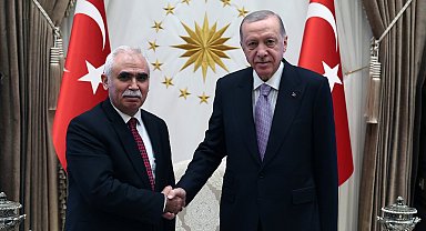 Cumhurbaşkanı Erdoğan, AYM Başkanı Özkaya'yı kabul etti