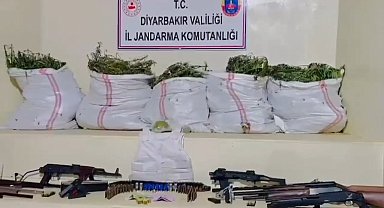 Diyarbakır'da 15 milyon 882 bin kök kenevir ile 2,5 ton esrar ele geçirildi