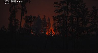 Donetsk bölgesinde Rus saldırısı sonrası orman yangını