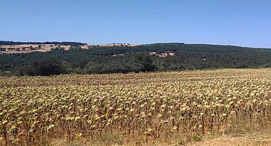 Edirne'de RES projesinin ÇED süreci sonlandırıldı